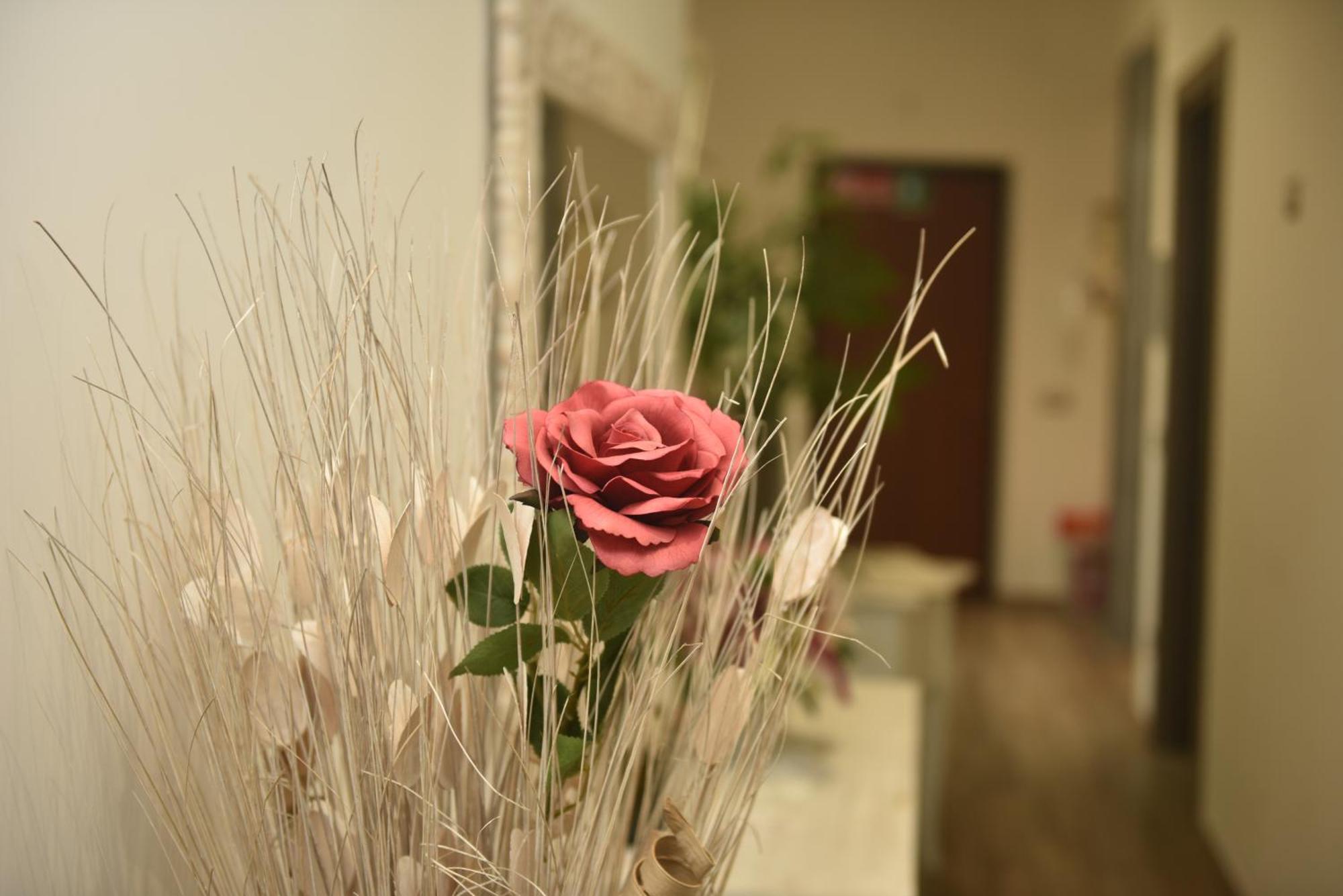 In Terrazza Da Giusy Bed & Breakfast Rome Exterior photo