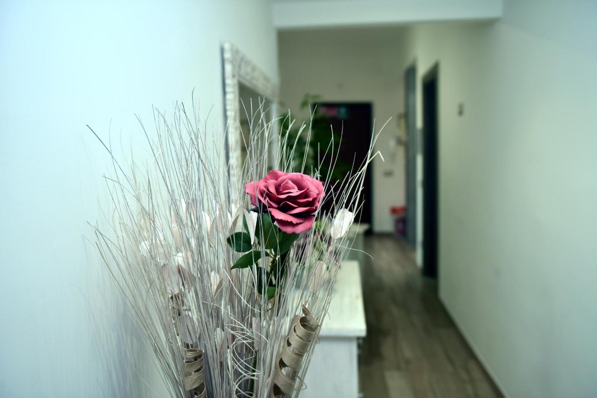 In Terrazza Da Giusy Bed & Breakfast Rome Exterior photo