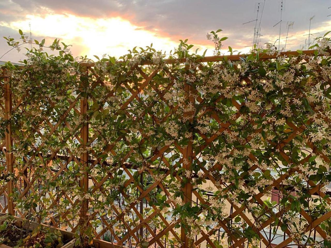 In Terrazza Da Giusy Bed & Breakfast Rome Exterior photo
